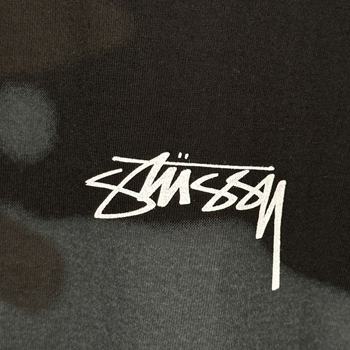 STUSSY SS25 LOW TIDE TEE サーファーTシャツ