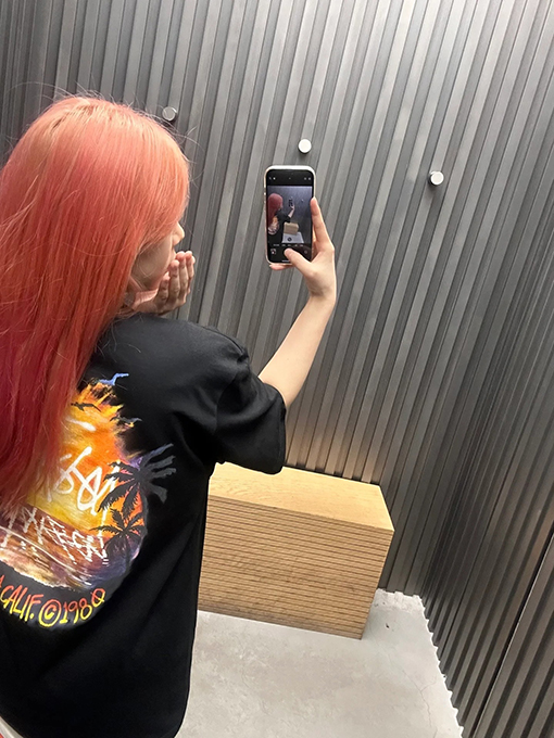 ステューシー サンセットココナッツビーチビューTシャツ