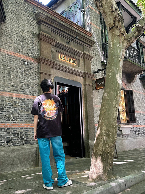 ステューシー サンセットココナッツビーチビューTシャツ
