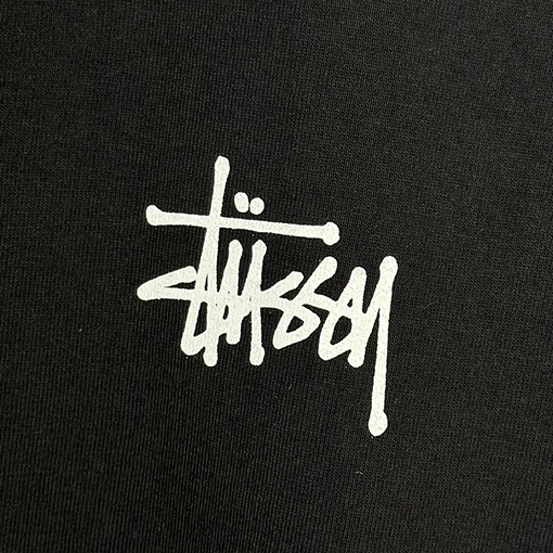 ステューシー サンセットココナッツビーチビューTシャツ