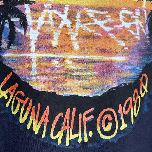 ステューシー サンセットココナッツビーチビューTシャツ