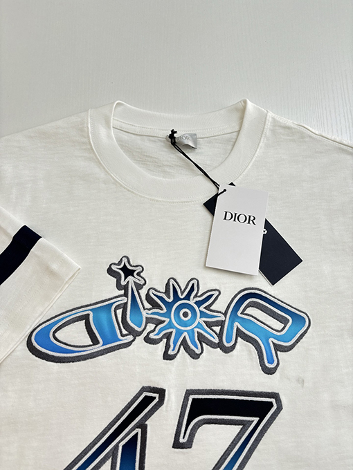 ディオールコピー グラデーション刺繍ハミルトンコラボ半袖Tシャツ