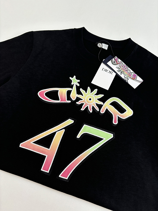 ディオールコピー グラデーション刺繍ハミルトンコラボ半袖Tシャツ