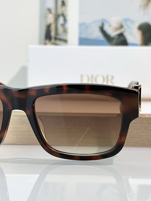 ディオールファッションサングラスDiorOblique S3F