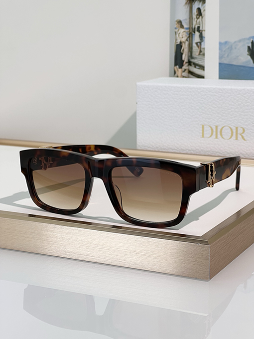 ディオールファッションサングラスDiorOblique S3F
