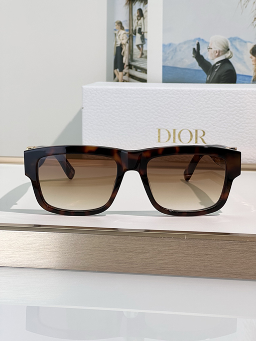 ディオールファッションサングラスDiorOblique S3F