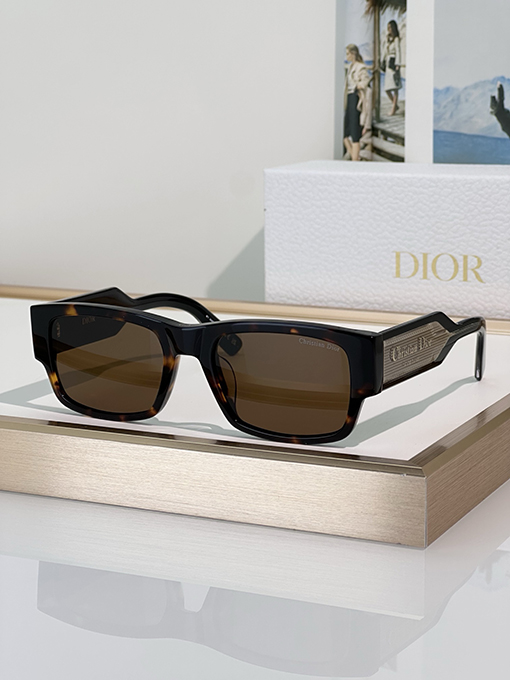 ディオール Christian Dior Label S 1 Iサングラス