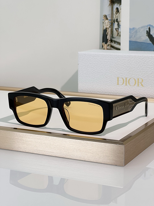 ディオール Christian Dior Label S 1 Iサングラス