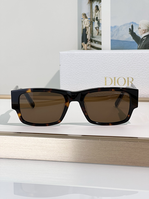 ディオール Christian Dior Label S 1 Iサングラス