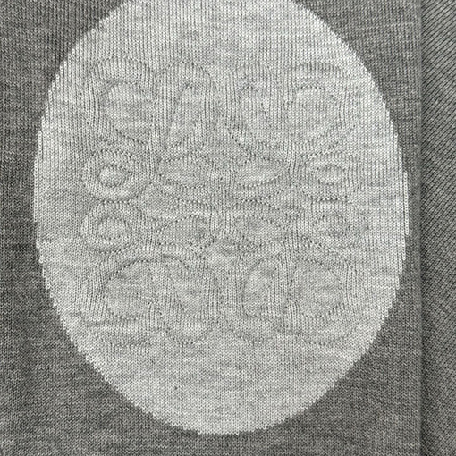 ロエベ パッド入り3D刺繍クルーネックセーター