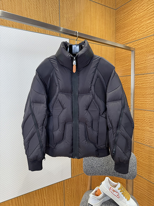 ルイヴィトン LOUIS VUITTON レザーラベルスタンドカラーダウンジャケット