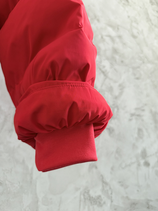 バレンシアガ Balenciaga 馬年限定刺繍ダウンジャケット