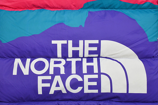 ノースフェイス The North Face X INVINCIBLE 1996 Retro Nuptse コラボレーションダウンジャケット