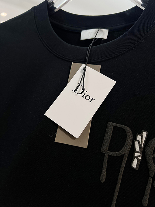 ディオールスーパーコピー DIOR カラーブロックの浮き彫りテクスチャ刺繍レターロゴ半袖Tシャツ