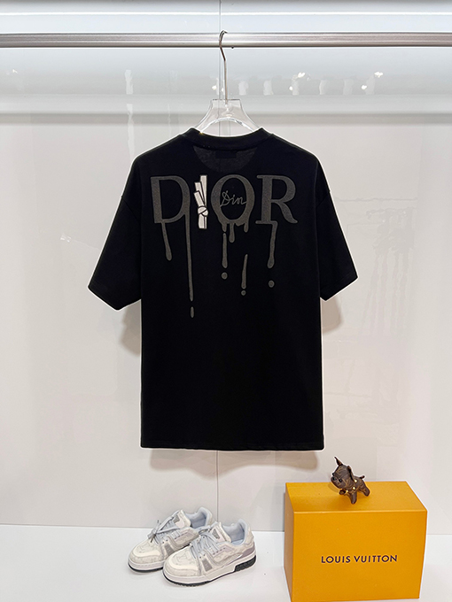 ディオールスーパーコピー DIOR カラーブロックの浮き彫りテクスチャ刺繍レターロゴ半袖Tシャツ