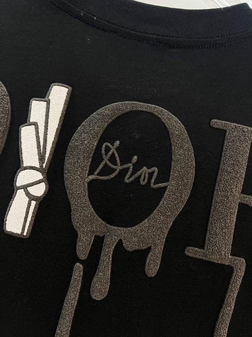 ディオールスーパーコピー DIOR カラーブロックの浮き彫りテクスチャ刺繍レターロゴ半袖Tシャツ