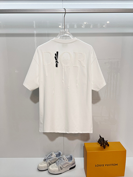 ディオールスーパーコピー DIOR カラーブロックの浮き彫りテクスチャ刺繍レターロゴ半袖Tシャツ