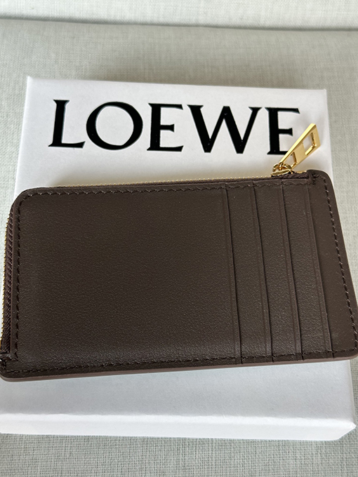 ロエベ Landscape グラデーションナッパレザーのコイン&カードホルダー