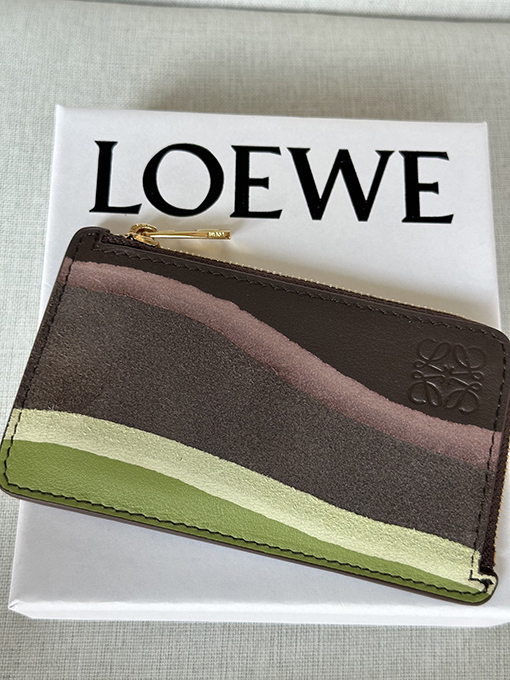 ロエベ Landscape グラデーションナッパレザーのコイン&カードホルダー
