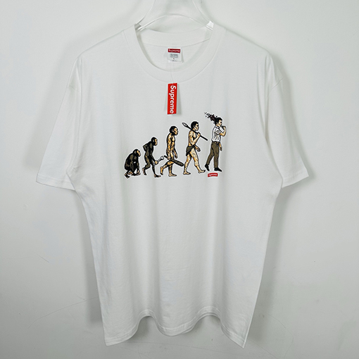 シュプリームSupreme SS26 EVOLUTION TEE クラシックな人類進化プリントの半袖Tシャツ