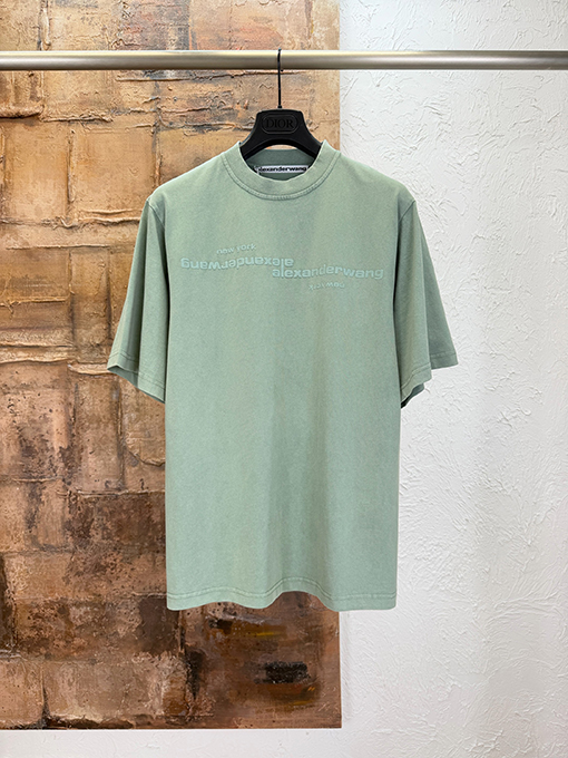 アレキサンダーワンスーパーコピー Alexander Wang クラシックなカラーバーニングフォームプリント半袖Tシャツ
