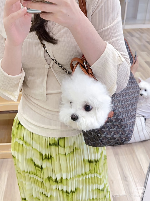 シアン・グリス Chien Gris レディーススタイリッシュなペットキャリー