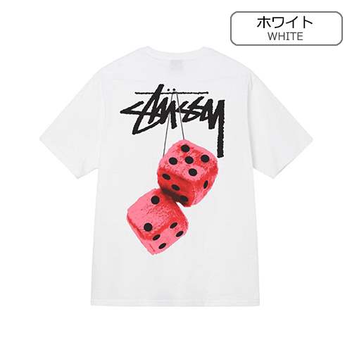 【ステューシー】メンズ レディース 半袖Tシャツ 