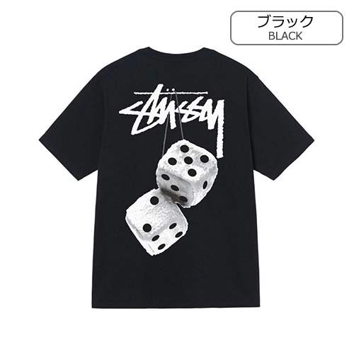 【ステューシー】メンズ レディース 半袖Tシャツ 