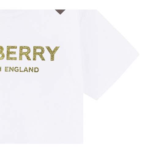 バーバリー スーパーコピーメンズ レディース 半袖Tシャツ