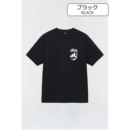 【ステューシー】×【OUR LEGACY】メンズ レディース 半袖Tシャツ 